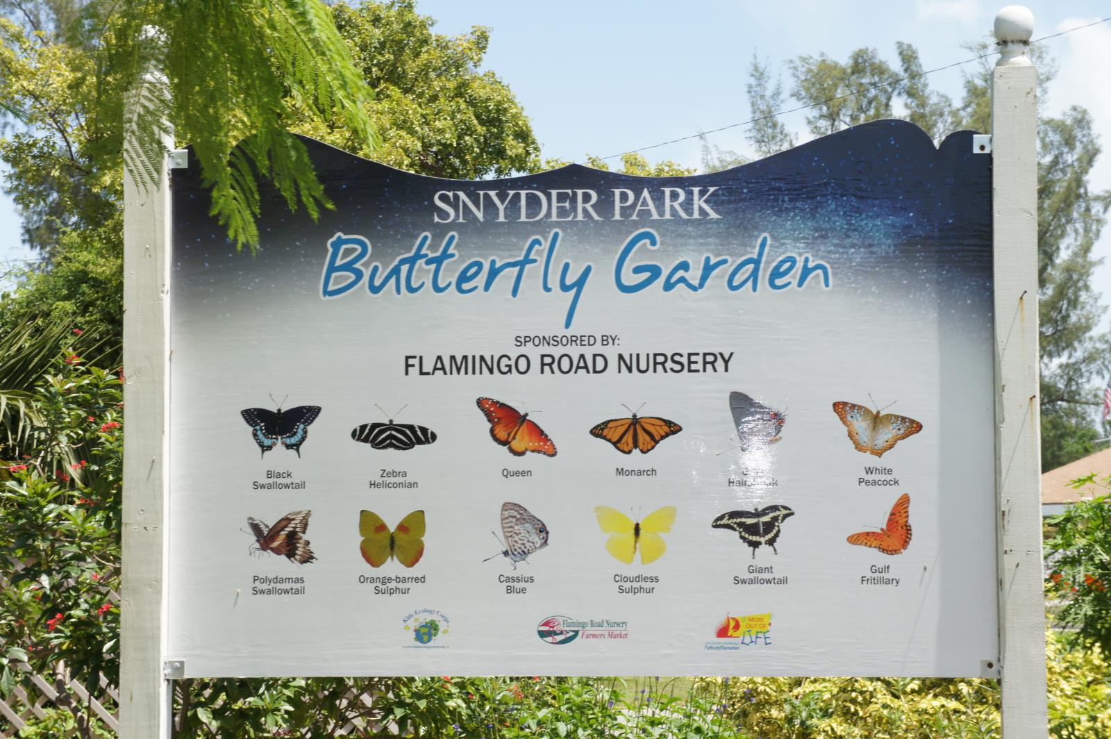 Butterfly Nature Sign