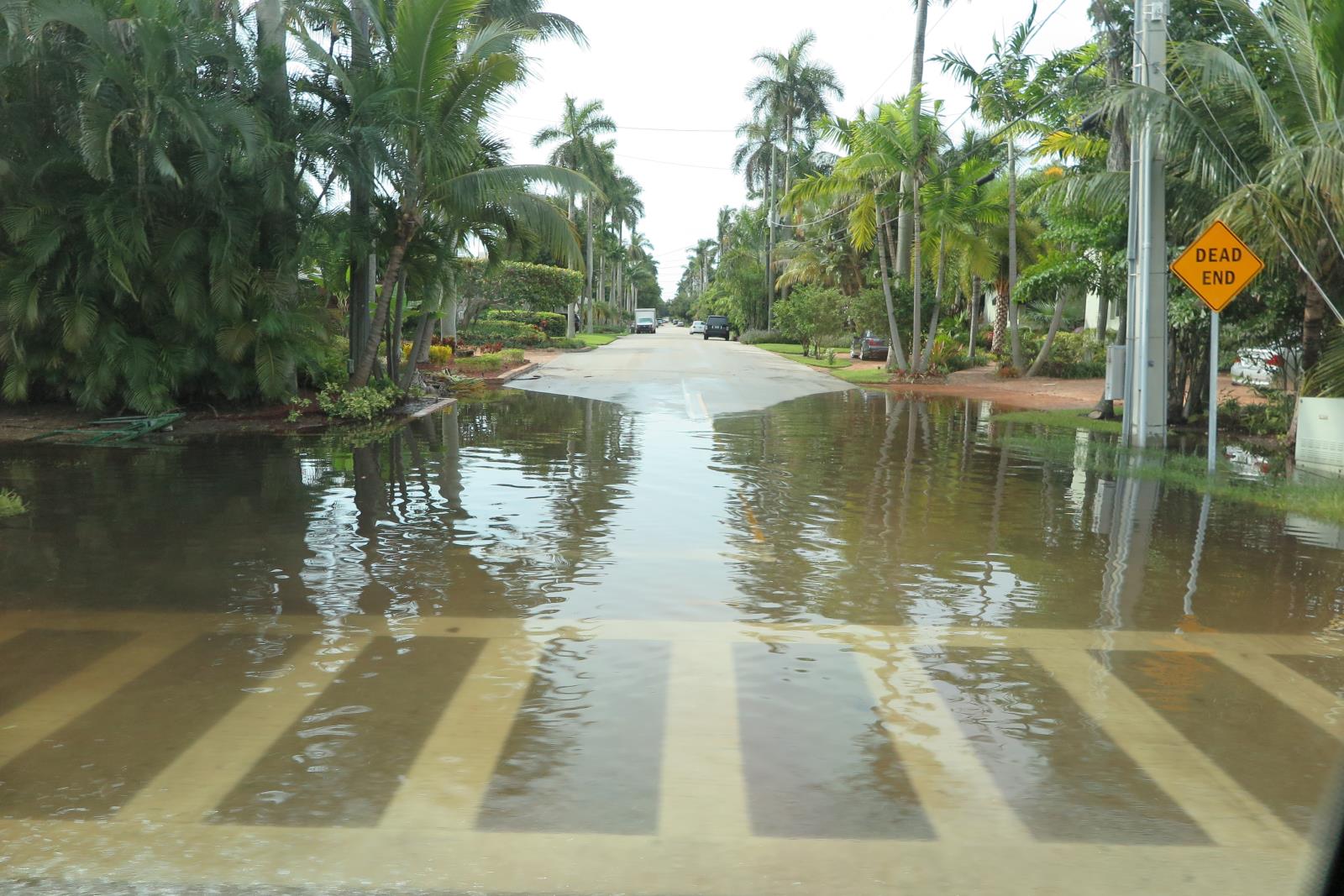 Las Olas Isles Flooding