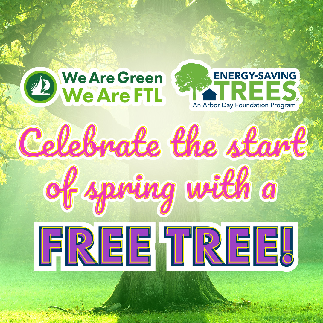 8679 Energy-Saving Trees Arbor Day Fndtn_1080
